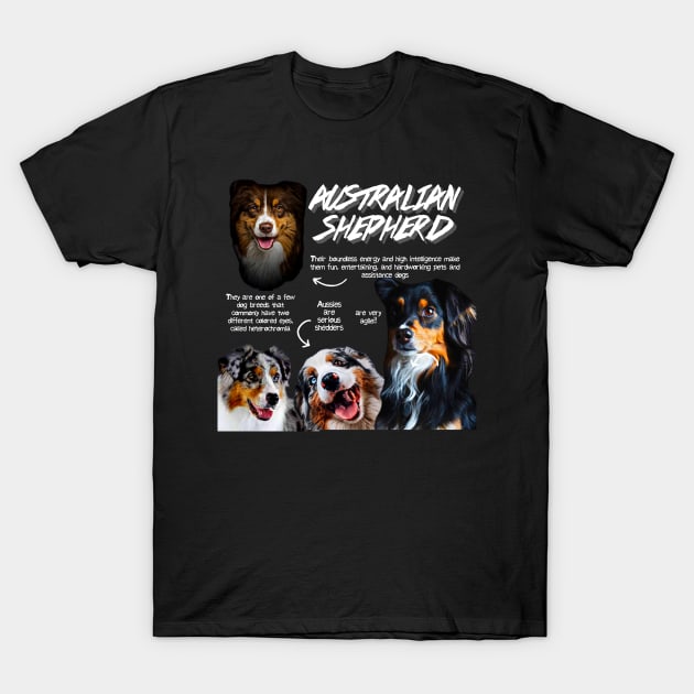 Australian Shepherd Fun Facts T-Shirt by Animal Facts and Trivias